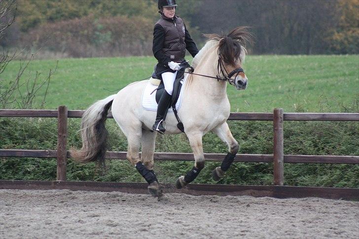 Stævne I Glamsbjerg rideklub billede 3