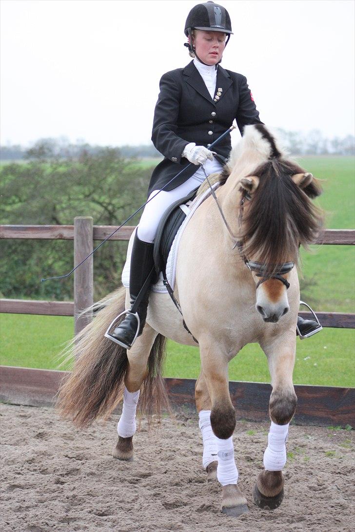 Stævne I Glamsbjerg rideklub billede 18