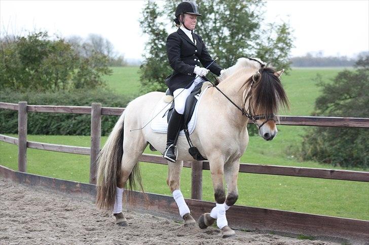 Stævne I Glamsbjerg rideklub billede 19