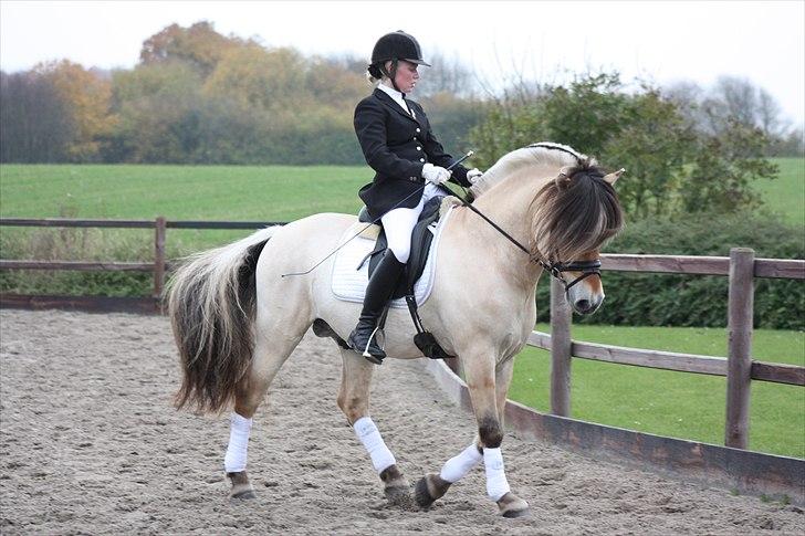 Stævne I Glamsbjerg rideklub billede 4