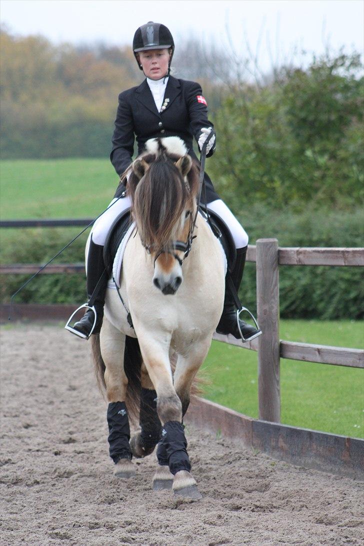 Stævne I Glamsbjerg rideklub billede 2