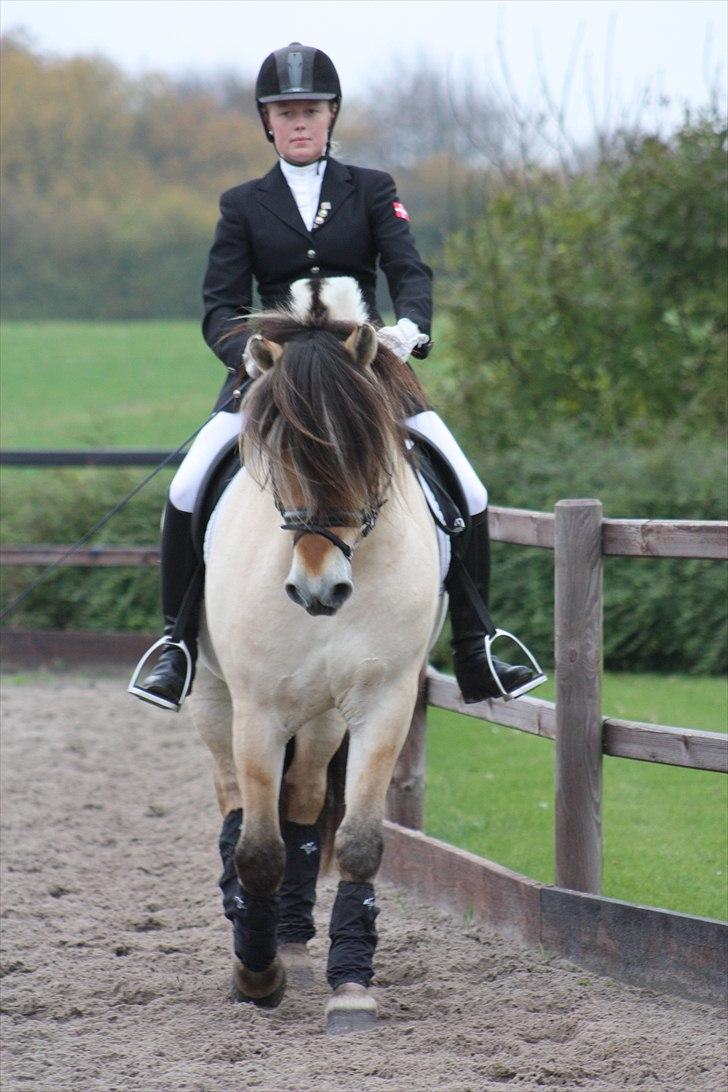 Stævne I Glamsbjerg rideklub billede 20