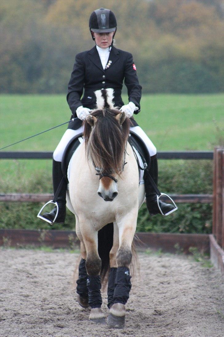 Stævne I Glamsbjerg rideklub billede 22