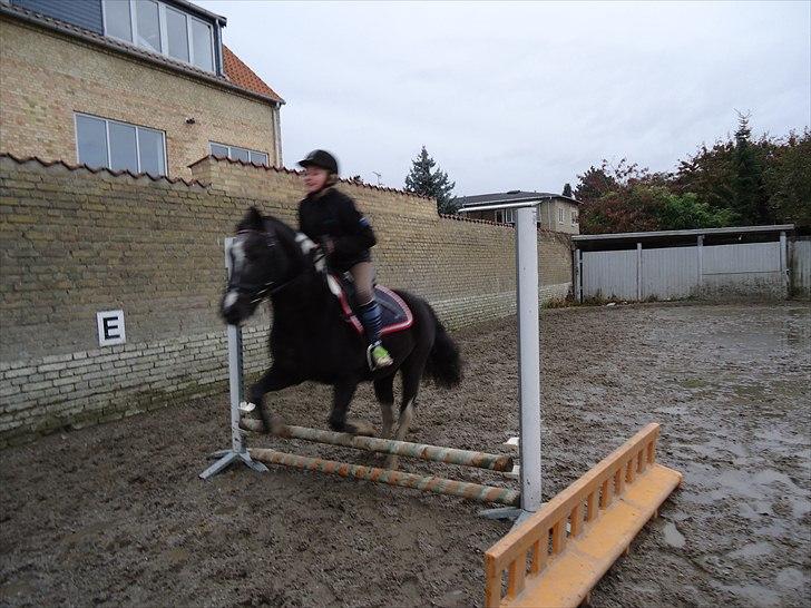 Løve og Bou billede 3