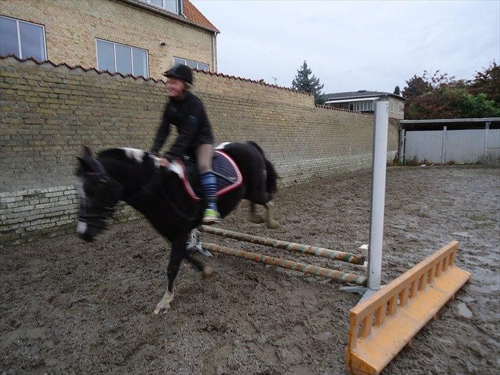 Løve og Bou billede 8