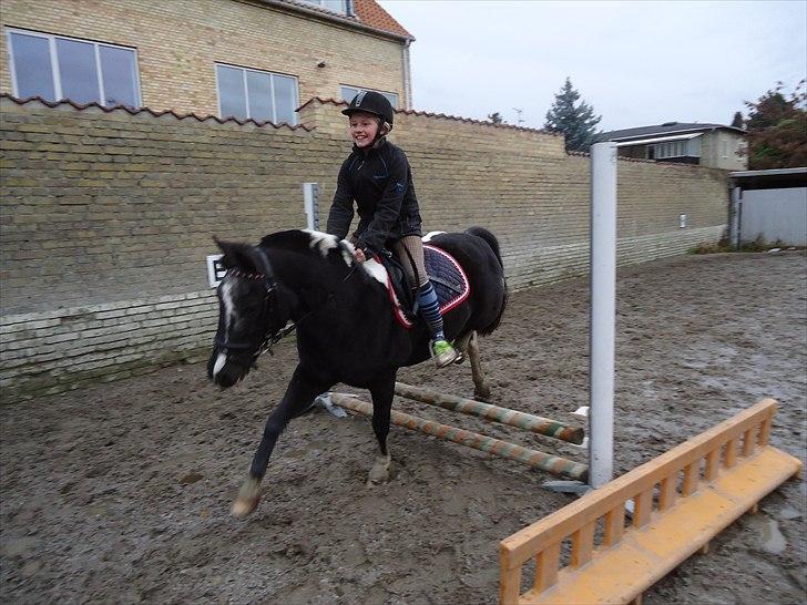 Løve og Bou billede 10