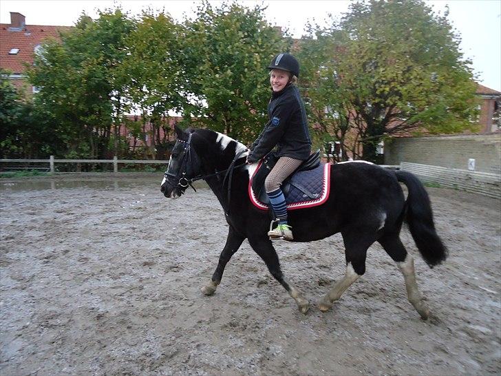 Løve og Bou billede 11