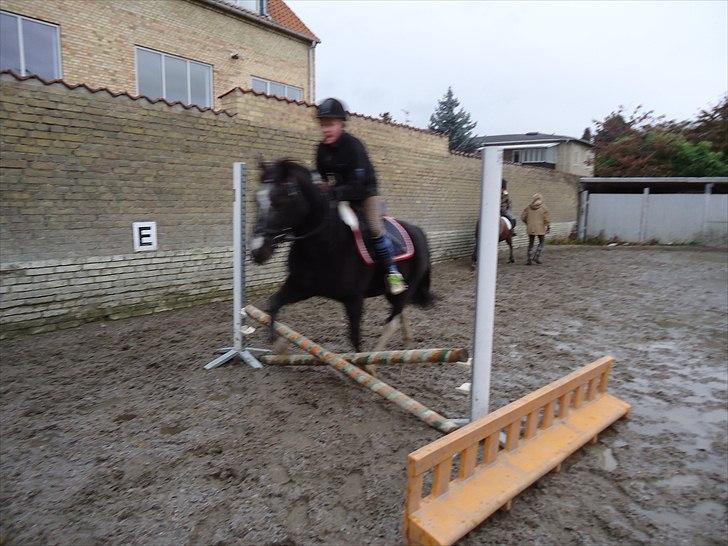 Løve og Bou billede 12