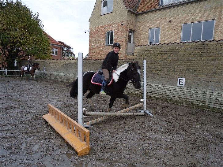 Løve og Bou billede 14