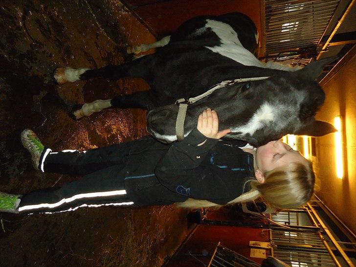 Løve og Bou billede 27