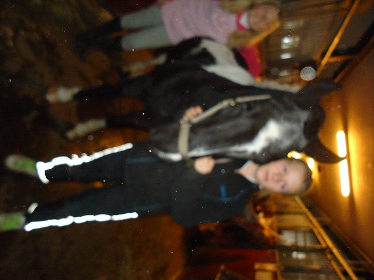 Løve og Bou billede 28