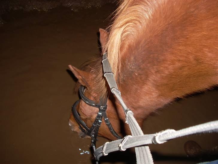 Til Ditte min skat <3 billede 3