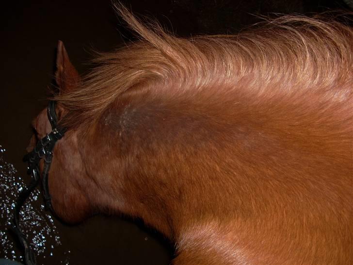 Til Ditte min skat <3 billede 4