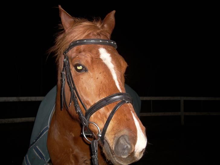 Til Ditte min skat <3 billede 5