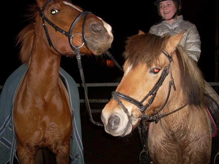 Til Ditte min skat <3 billede 7