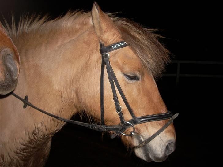 Til Ditte min skat <3 billede 8