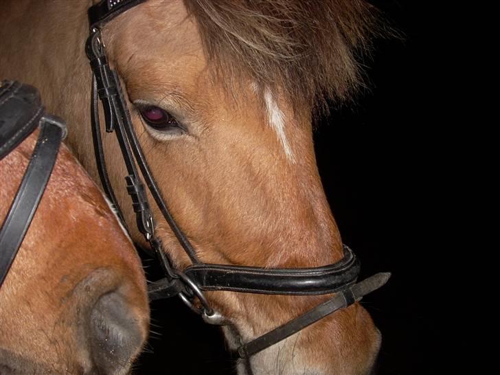 Til Ditte min skat <3 billede 9