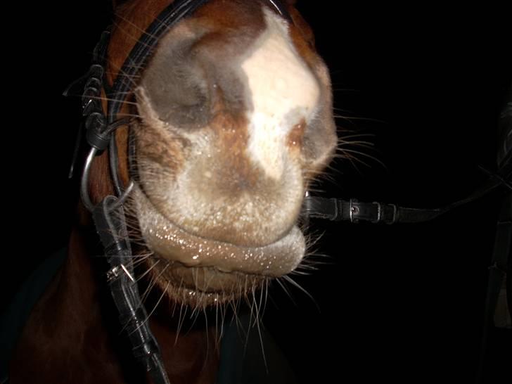 Til Ditte min skat <3 billede 10