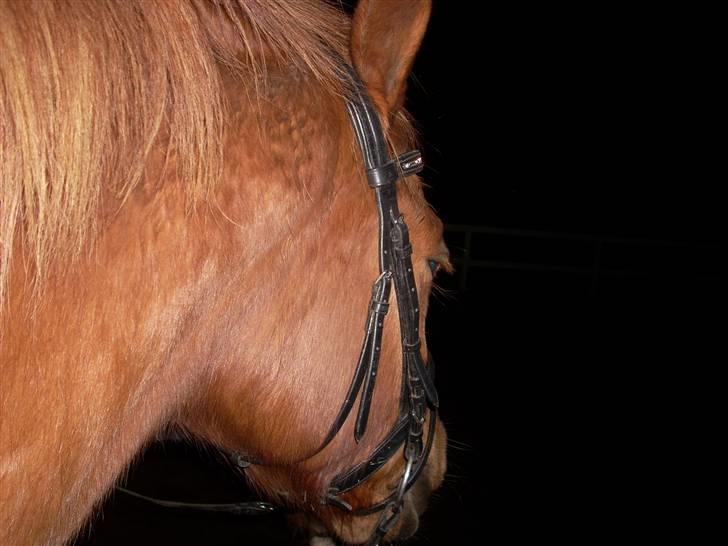 Til Ditte min skat <3 billede 11