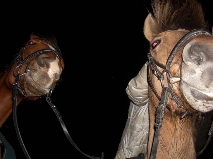 Til Ditte min skat <3 billede 12