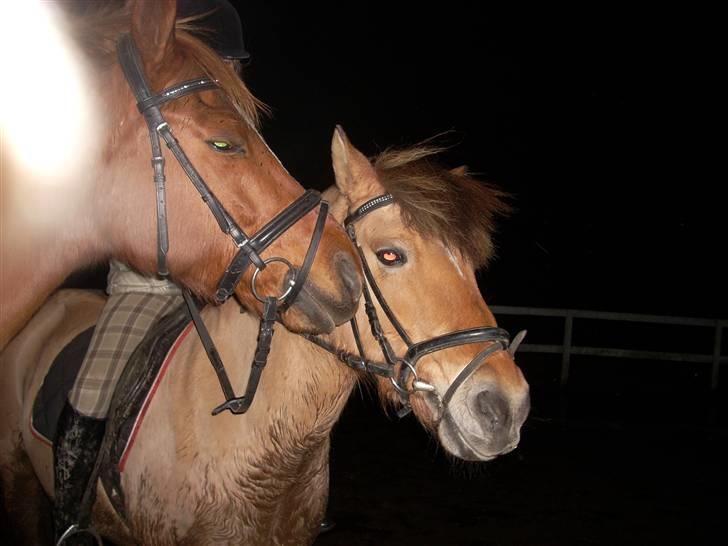 Til Ditte min skat <3 billede 13