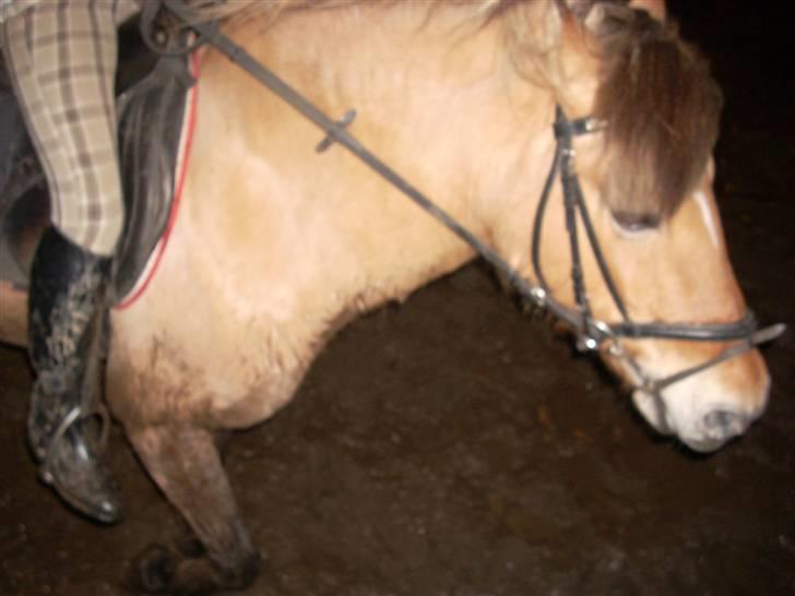 Til Ditte min skat <3 billede 16