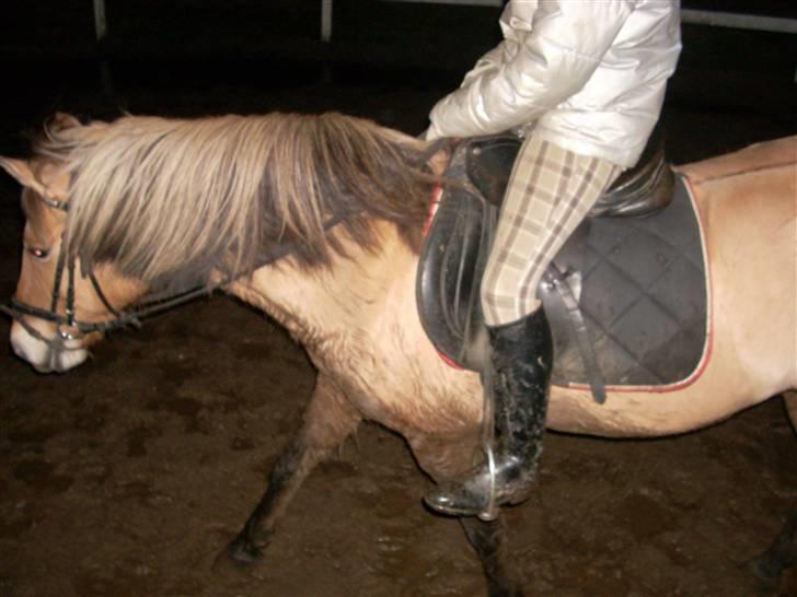 Til Ditte min skat <3 billede 17