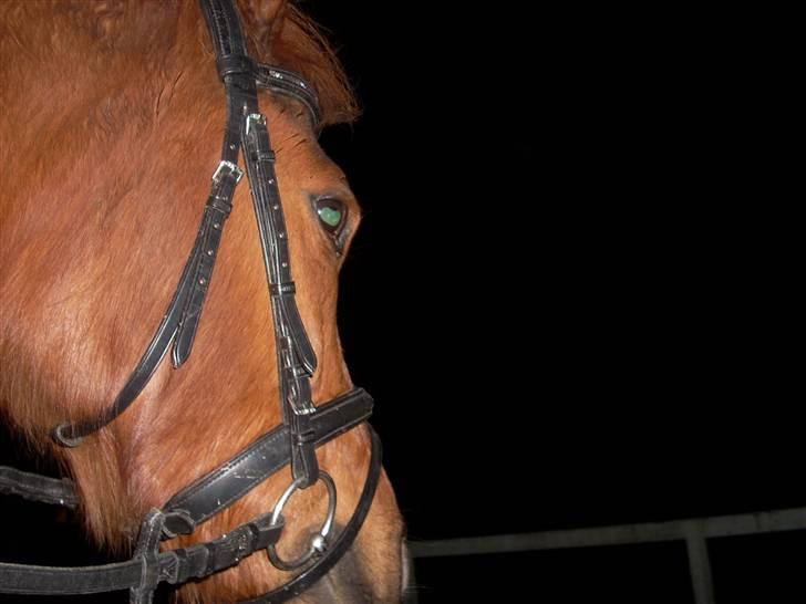 Til Ditte min skat <3 billede 18