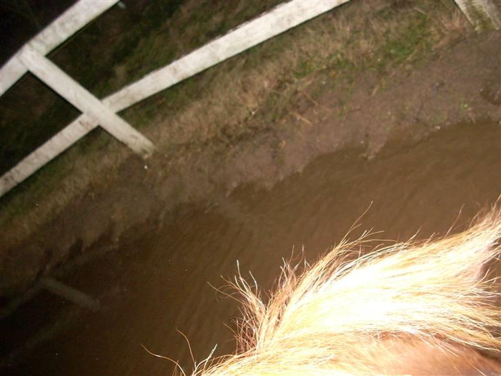 Til Ditte min skat <3 billede 19