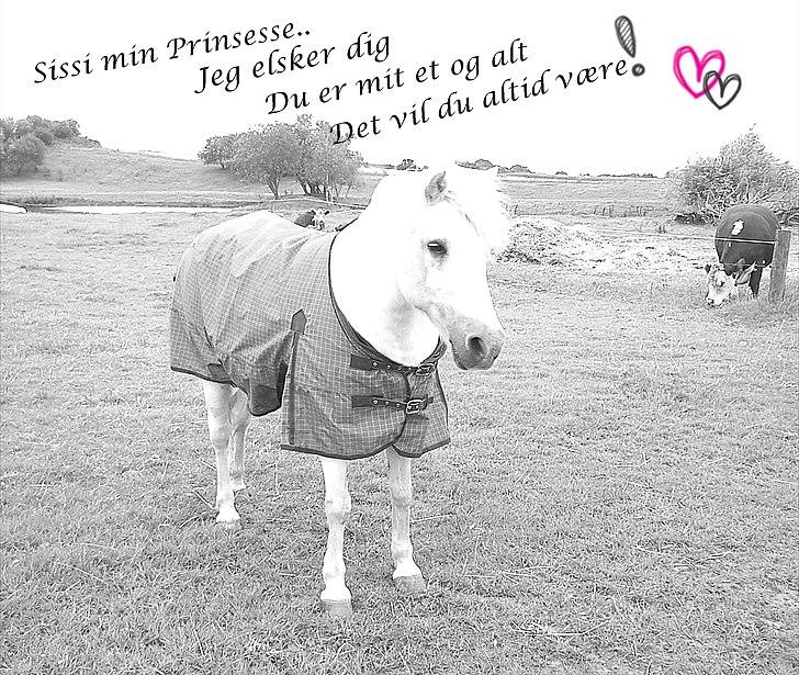 Billeder jeg har lavet  - TIl Sissi og Amalie..! 
Det er kun hende det må tage billedet billede 23