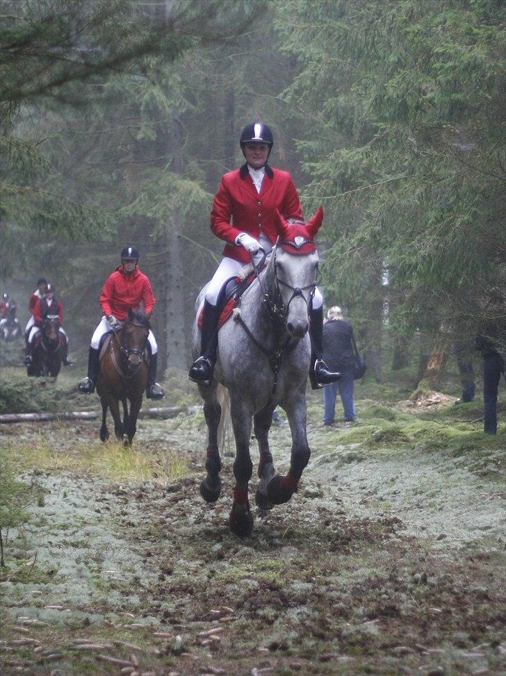 Jagt billeder - Hubertus jagt i Midtjysk jagtrideklub d. 10 oktober 2010 billede 32