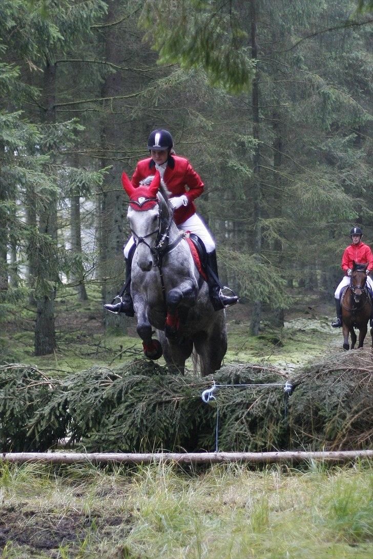 Jagt billeder billede 33