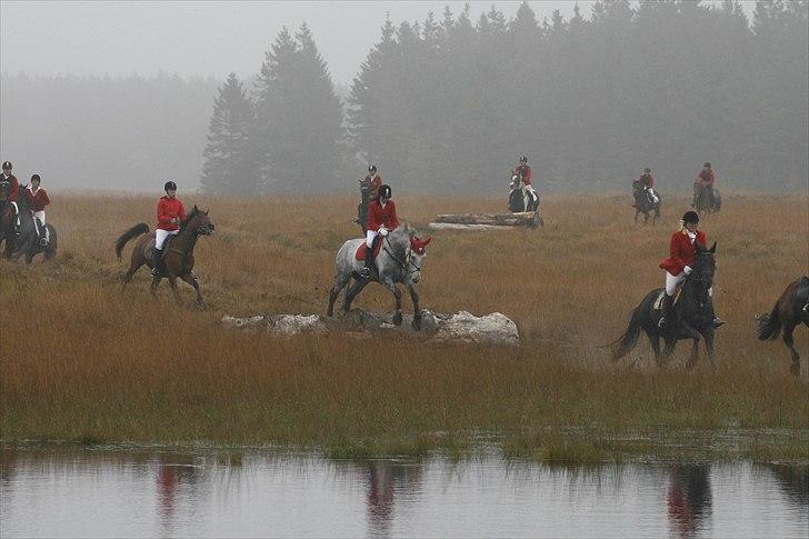 Jagt billeder billede 34