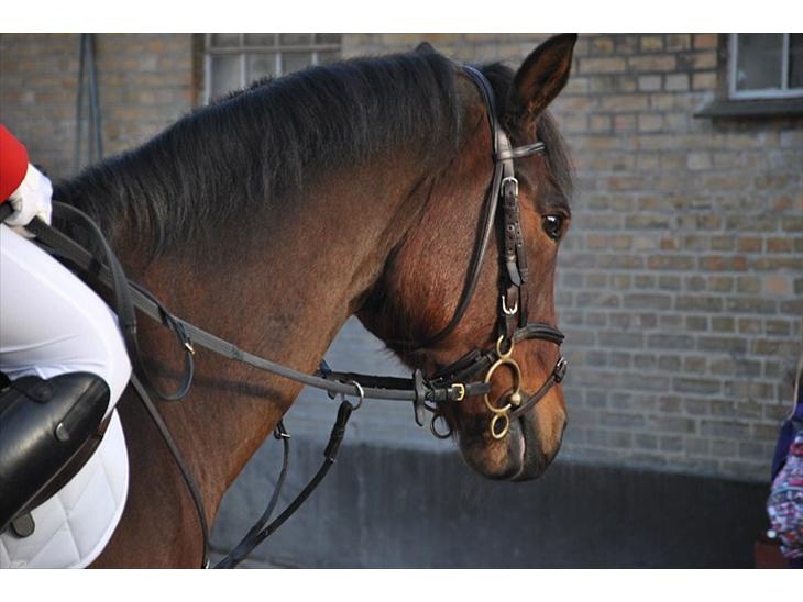 {{currentPhoto.altText}} billede {{currentPhoto.number}}