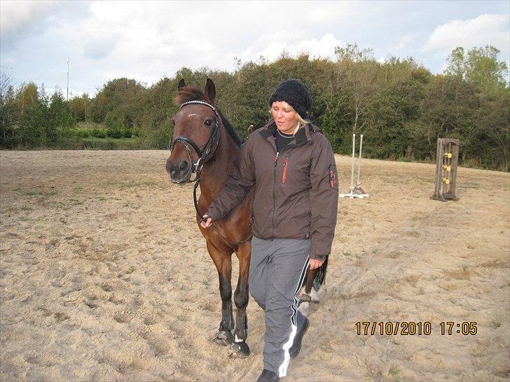 Heste på forårsvej billede 71