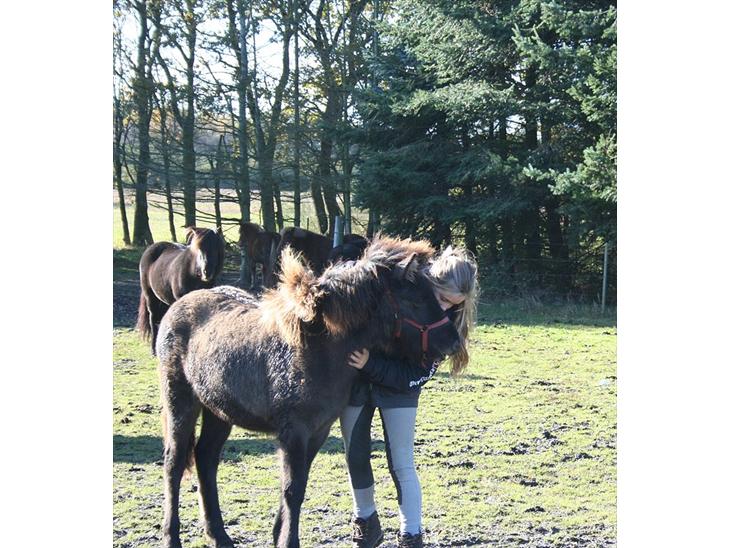 {{currentPhoto.altText}} billede {{currentPhoto.number}}