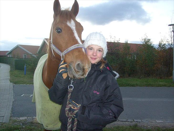 {{currentPhoto.altText}} billede {{currentPhoto.number}}