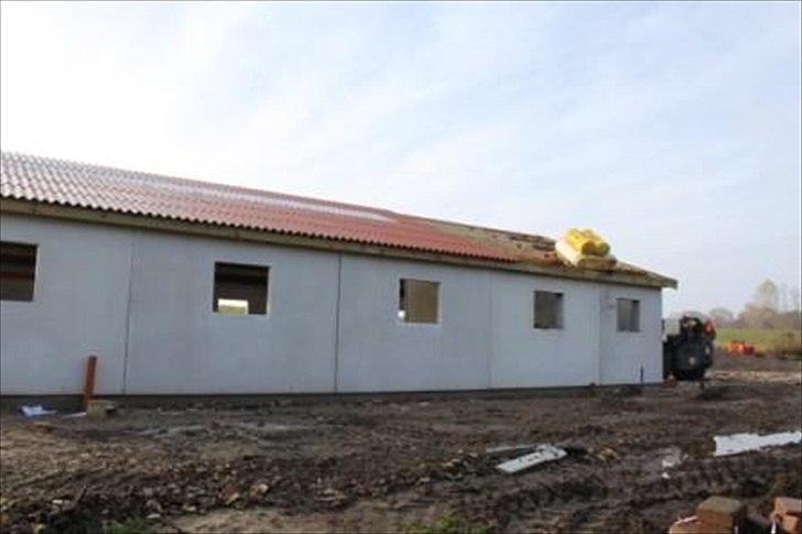 Stald byggeri - Et billede lidt fra siden hvor tømmeren er igang med taget og hvor han skal isolere sadelrummets tag. billede 7