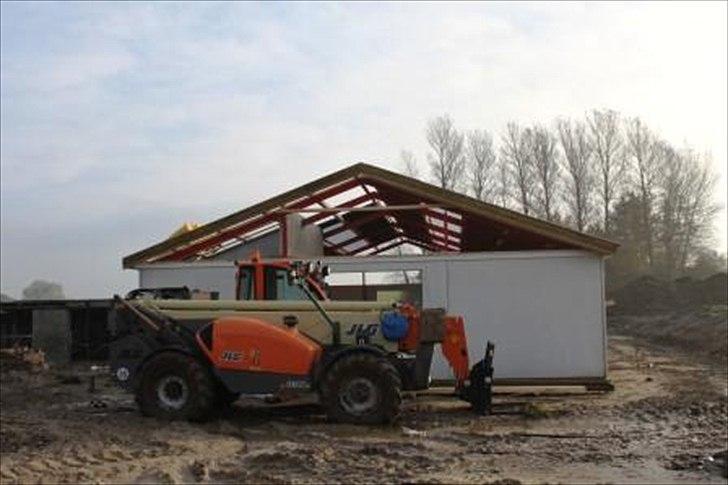 Stald byggeri - Fra den anden ende af stalden, hvor der endnu ikke er lavet gavl osv. billede 8