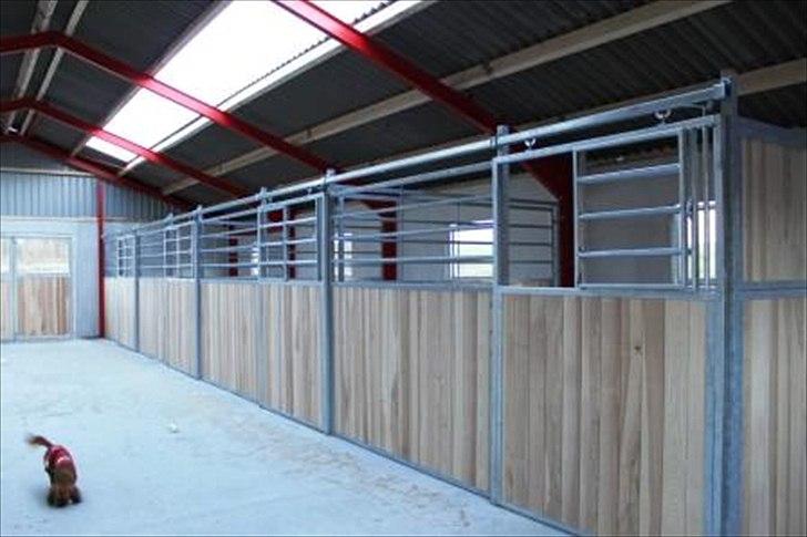 Stald byggeri - Et kik inde i stalden, hvor der er sat bokse op og vinduer i. billede 10