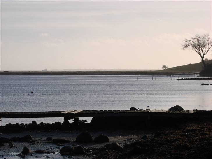 En tur i dyreborg skov billede 1