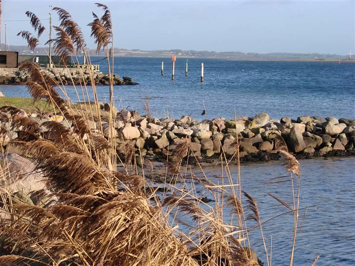 En tur i dyreborg skov billede 3