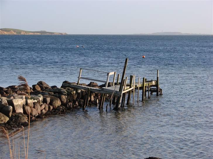 En tur i dyreborg skov billede 4