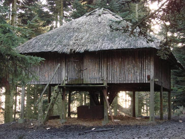 En tur i dyreborg skov billede 12