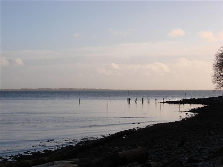 En tur i dyreborg skov billede 18