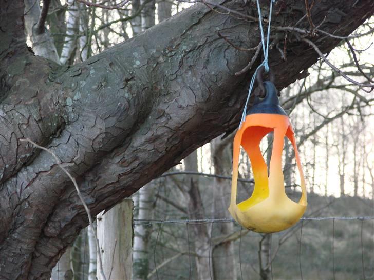 En tur i dyreborg skov billede 19