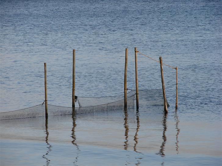 En tur i dyreborg skov billede 20