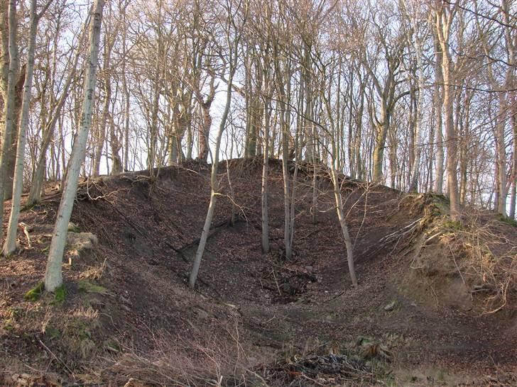 En tur i dyreborg skov billede 24