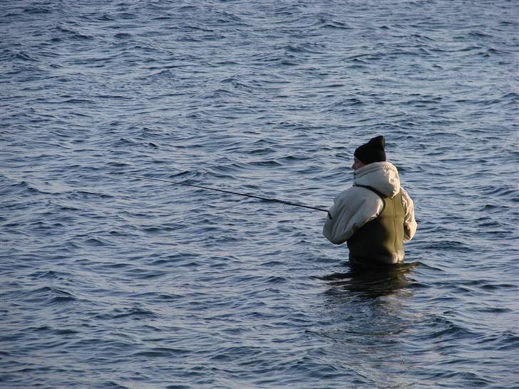 En tur i dyreborg skov billede 26