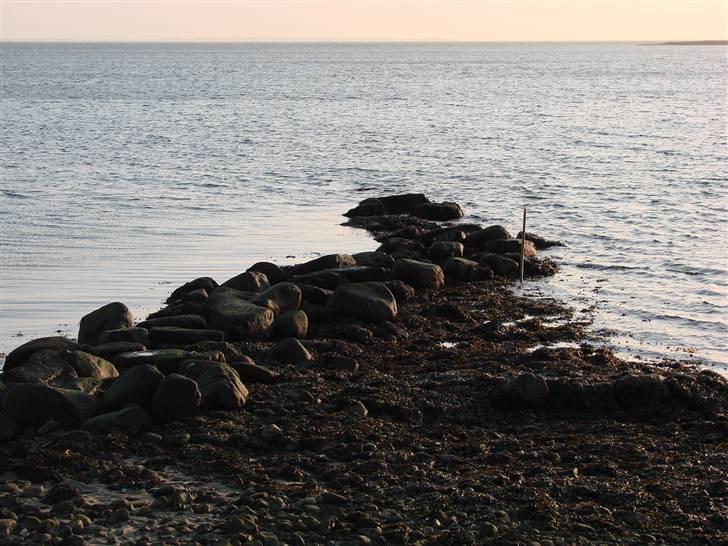 En tur i dyreborg skov billede 27